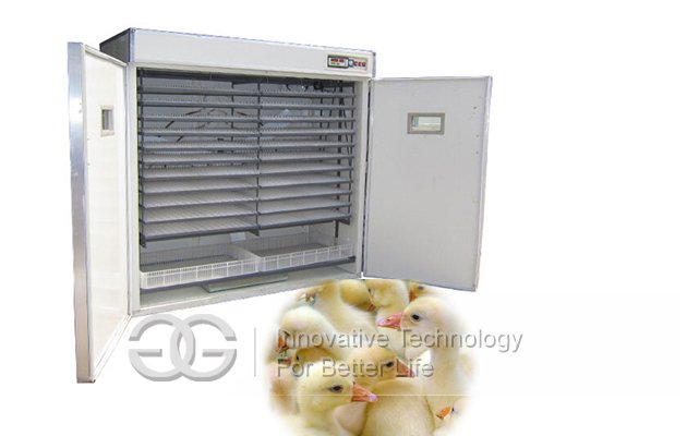 Goose Egg Incubator