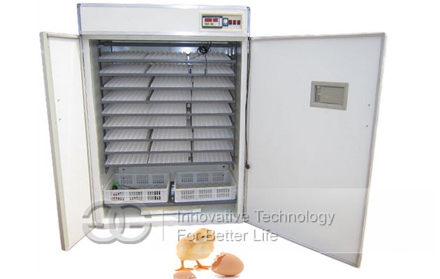 High Quality Chicken Egg Incubator