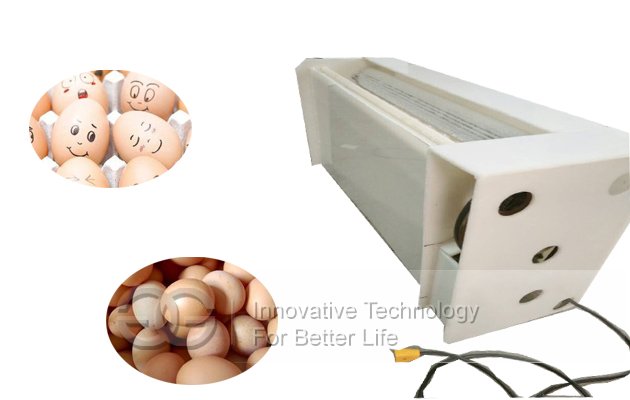 Eggs Washing Machine