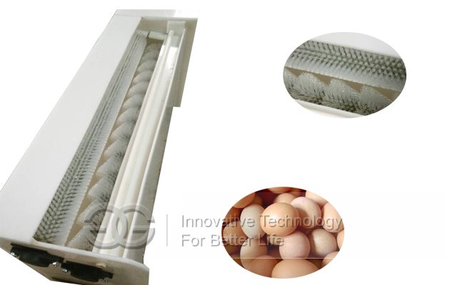 Eggs Washing Machine