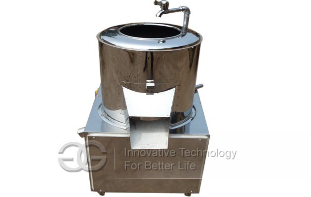 Potato Washing Peeling Machine