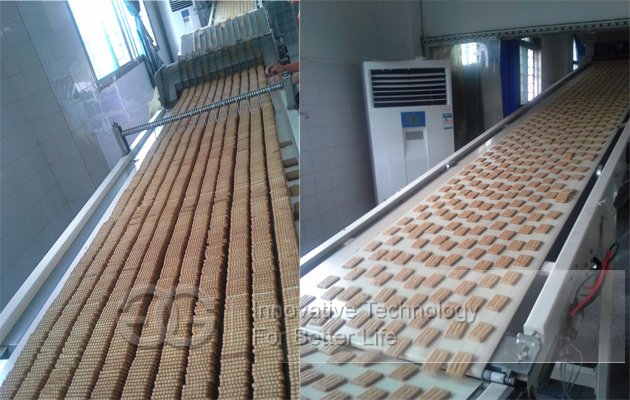 Automatic Biscuit Product Line