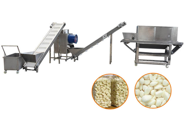 Automatic Garlic Clove Separating Peeling Production Line