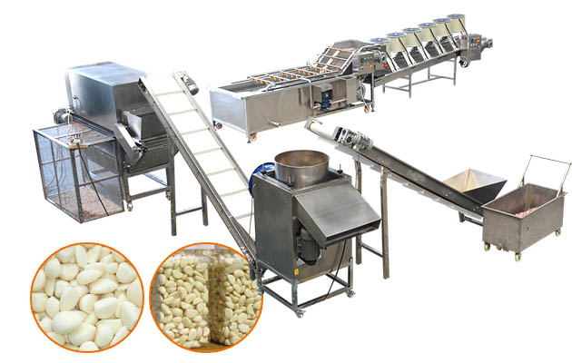 Automatic Garlic Clove Separating Peeling Production Line