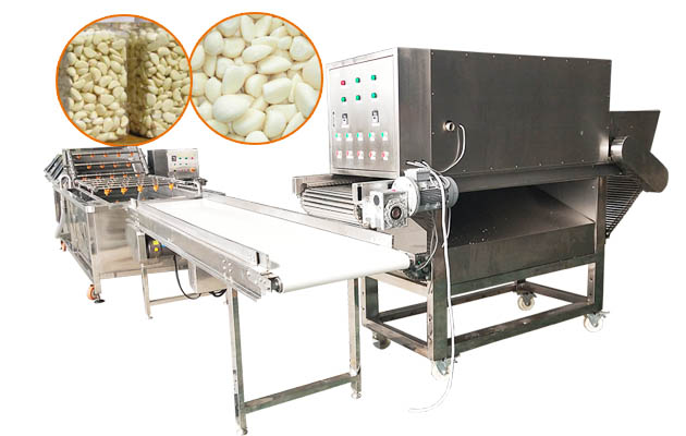 Automatic Garlic Clove Separating Peeling Production Line