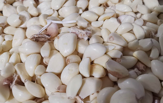 Automatic Garlic Clove Separating Peeling Production Line