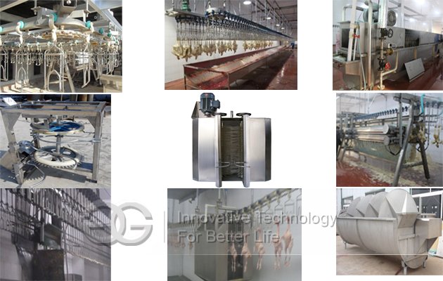 1500pcs/h Automatic Poultry Slaughtering Production Line