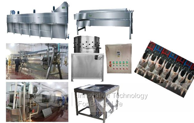 700pcs/h Automatic Poultry Slaughtering Production Line