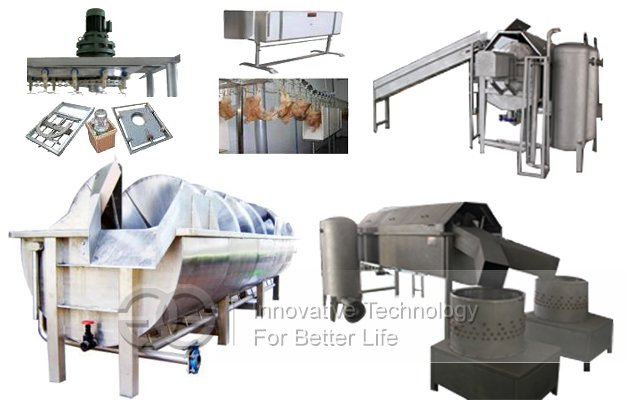 1000 bph Automatic Quail Slaughter Line