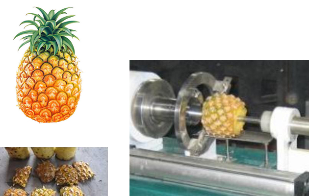 Pineapple Peeler and Corer Machine