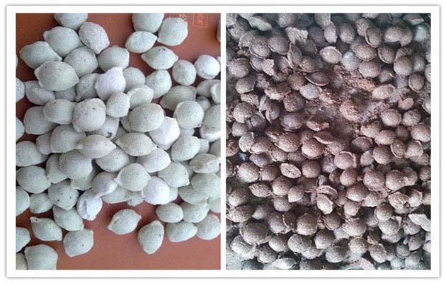 organic fertilizer pellet