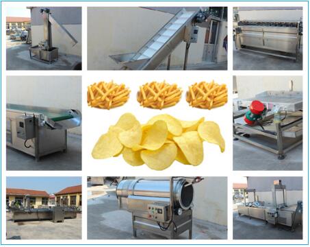 french fries plant