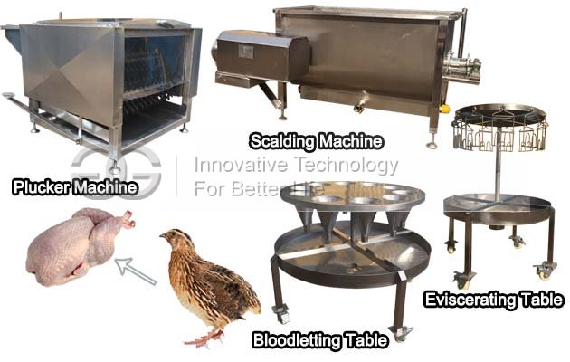 Small Quail Slaughtering Machine