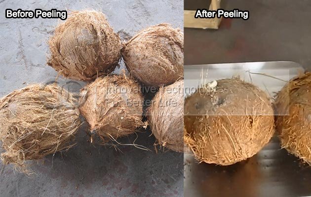 Machine Peeling Dry Coconut