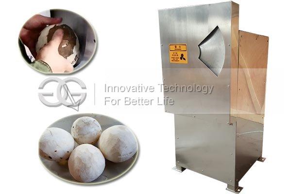 Coconut Meat Peeling Machine