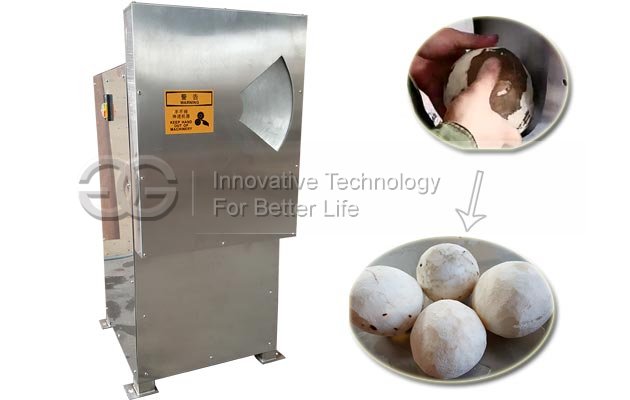 Semi Automatic Coconut Meat Peeling Machine for Sale