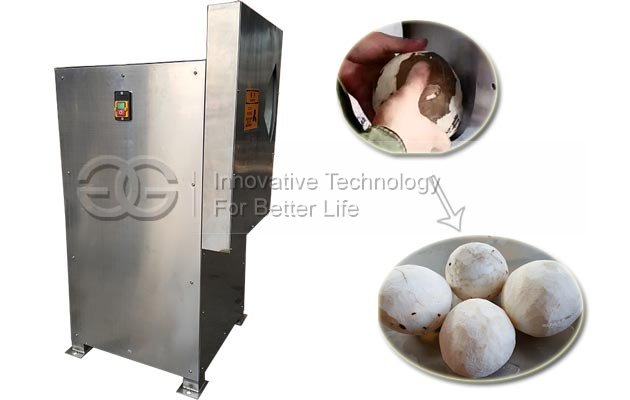 Semi Automatic Coconut Meat Peeling Machine for Sale