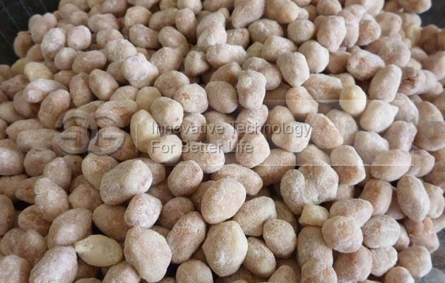 Production Line for Flour Coated Peanuts