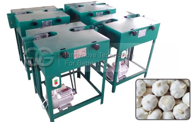 Fresh Wet Garlic Root and Stem Flat Cutting Machine