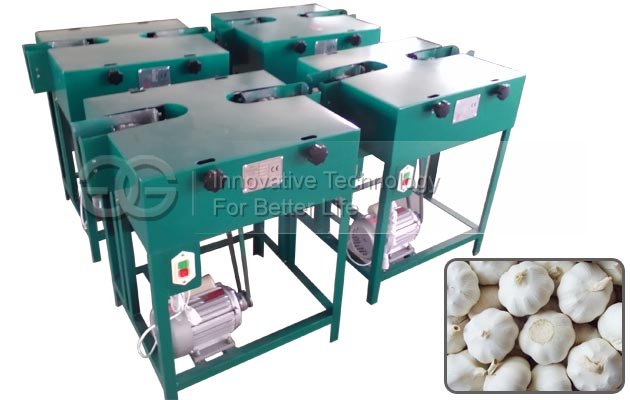Garlic Root Flat Cutter Machine Manufacturer in China