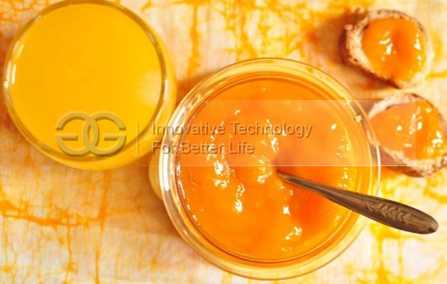 Industrial Fruit Mango Pulp Making Machine|Fruit Pulper Machine