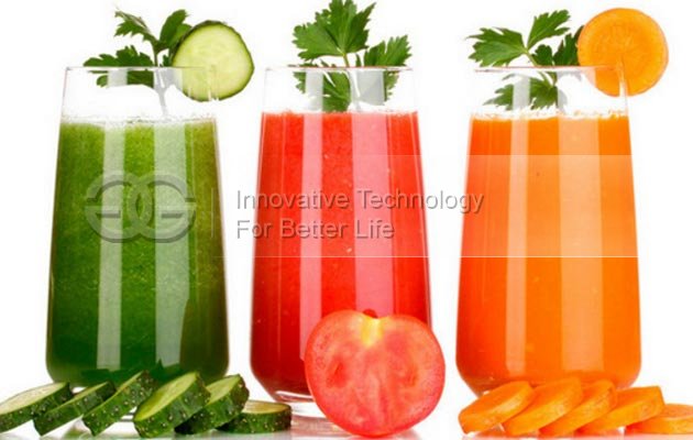 Fruit Juice Extracting Machine