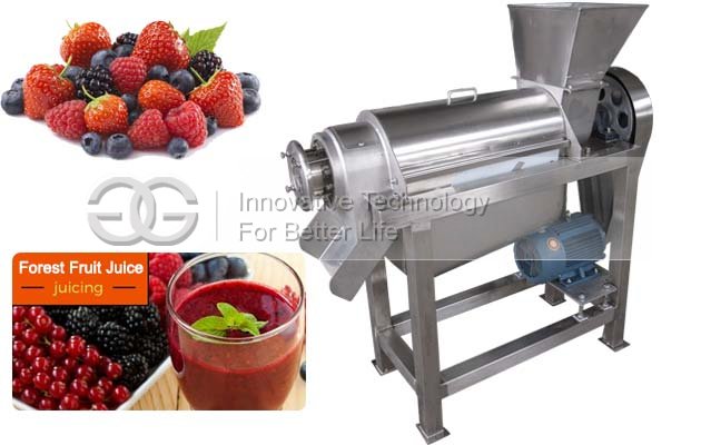 Commercial Fruit Juice Making Machine