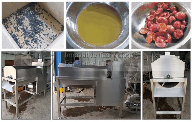 Passion Fruit Juice Making Machine