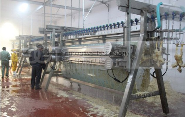 1500pcs/h Automatic Poultry Slaughtering Production Line