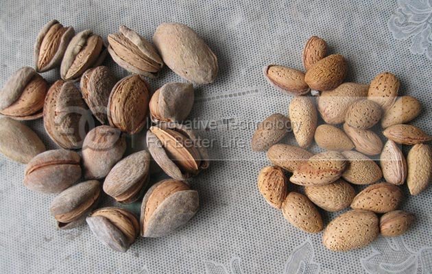 Automatic Alomnd Hazelnut Cracking Shelling Machine Equipment Line