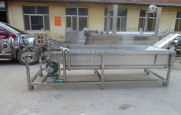Bubble Vegetable Washing Machine