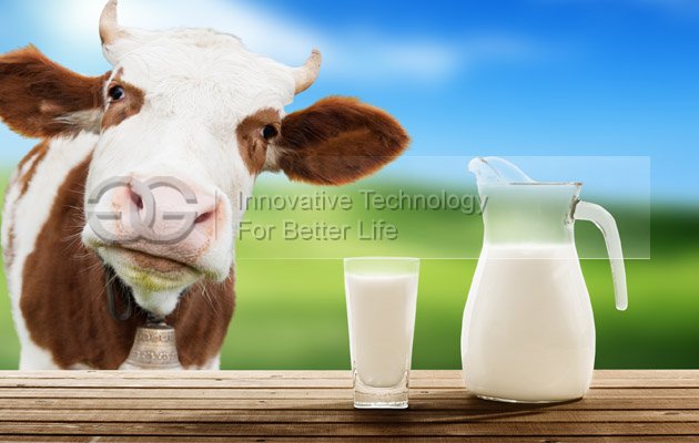 Milk Pasteurizer