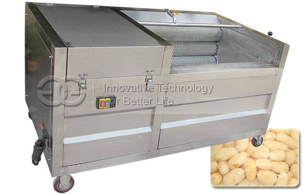 Industrial Potato Washing and Peeling Machine