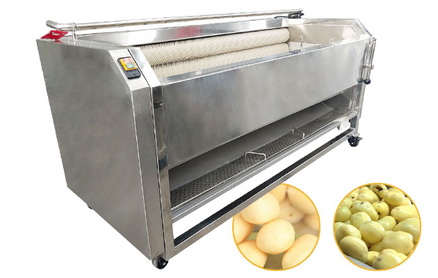 Industrial Potato Washing and Peeling Machine