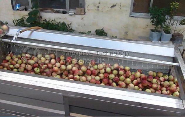 Fruit Vegetable Cleaning Machine