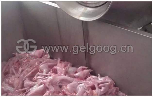 Vacuum MEat Kneading Machine