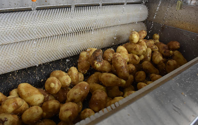 French Fries Making Machine