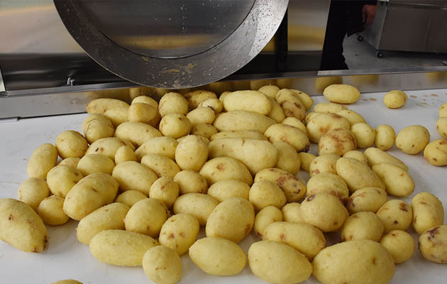 Potato French Fried Peeling Machine