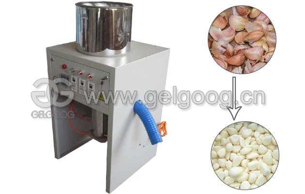 Dry Garlic Peeling Machine