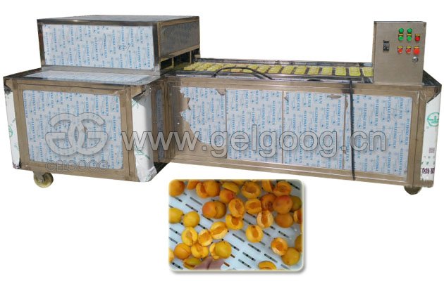 Apricot Pitting Machine