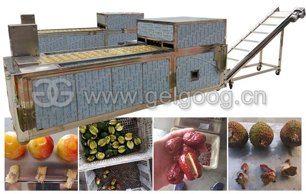 Automatic Apricot Pitting Machine