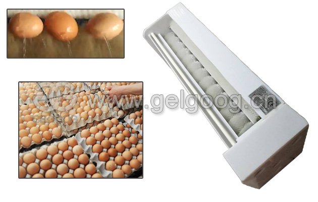 Commercial Egg Washing Machine