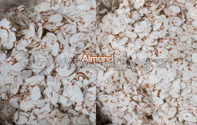 Cutting Machine for Almond Slices