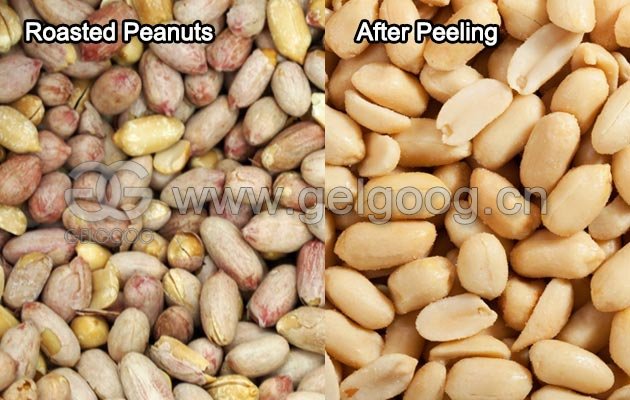 Peeling Machine for Peanut Skin