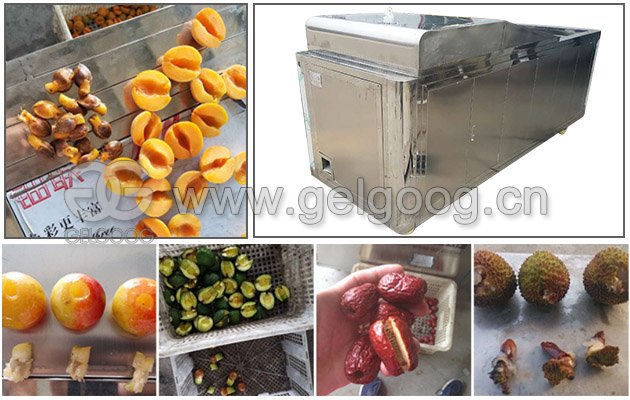 Dates Seed Pitting Machine