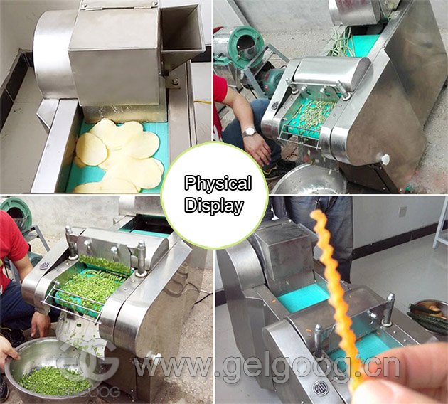 Green Leafy Vegetable Cutting Machine