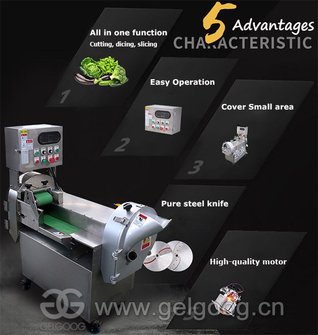 Electric Vegetable Dicer Machine Price