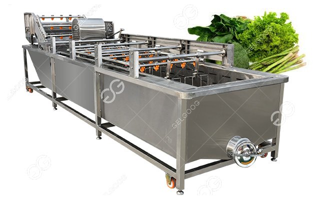 Leafy Vegetable Washing Machine