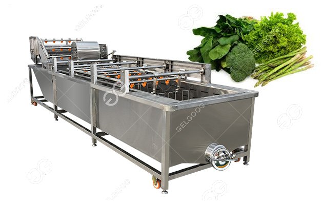 Vegetable Bubble Washing Machine