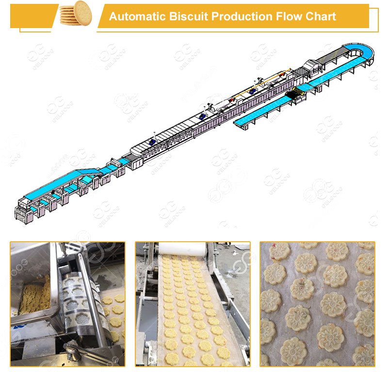 Gelgoog Biscuit Production line